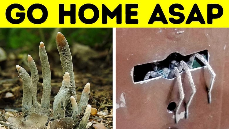 These Photos Will Invigorate You Like a Double Espresso