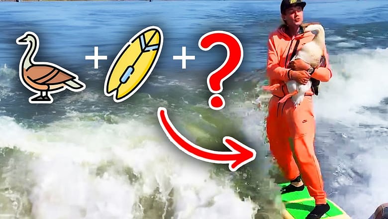 Can you find the ??? | AFV Games