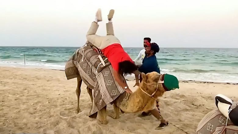 Family Fiesta Fails! | What Were They Thinking?