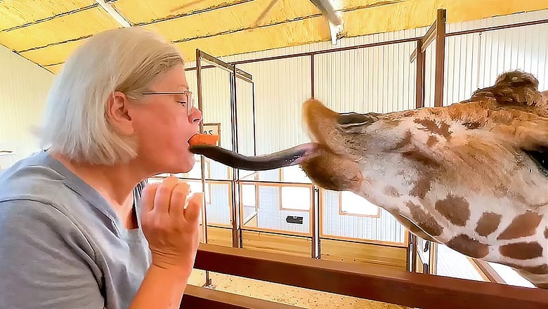 Funny Fur Babies | Give Me A Kiss ?