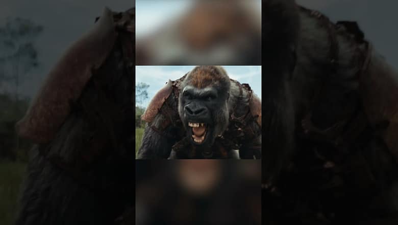 NEW ‘Kingdom of the Planet of the Apes’ Trailer