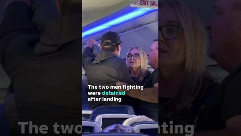 Two Southwest passengers fistfight, face FAA fines #Shorts