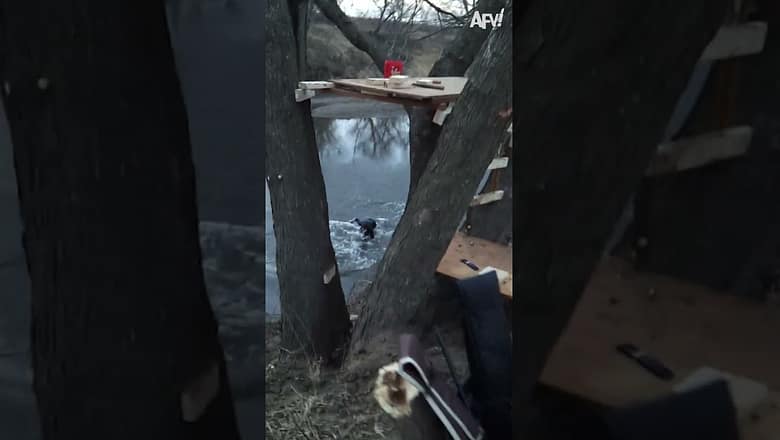 Unexpected landing ? #Fail #Funny #shorts