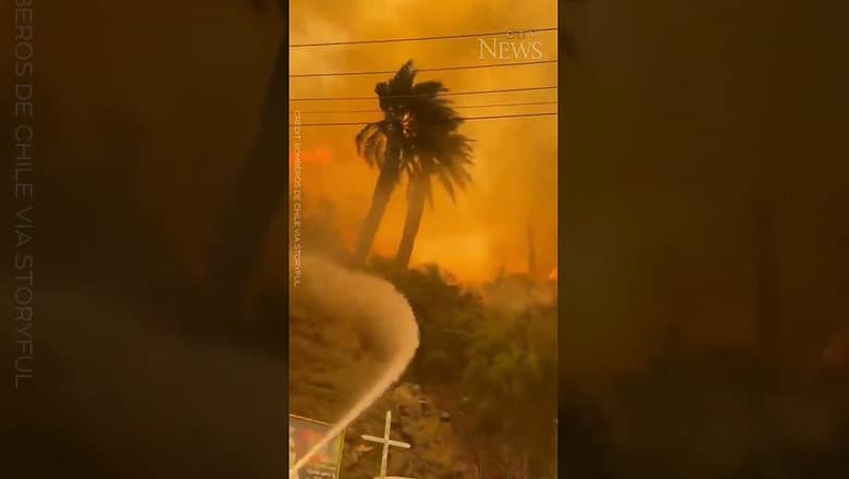 WATCH: Firefighters battle to contain forest fires across Chile #shorts