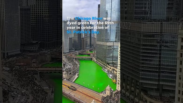 Chicago River dyed green in celebration of St. Patrick’s Day #shorts