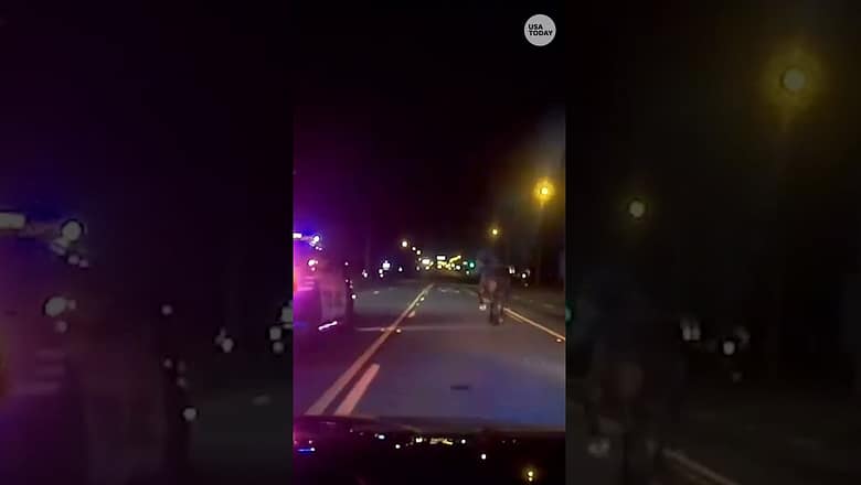 Lone horse leads Florida police on no-so-high-speed chase #Shorts