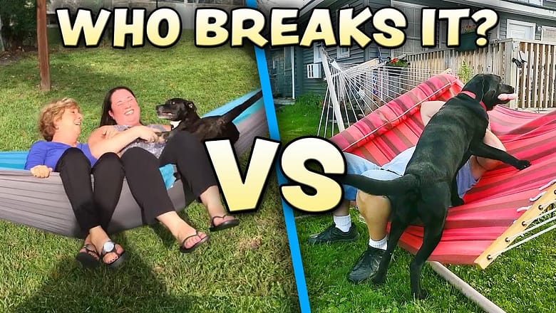 Man defies physics on a zipline | Best Fails of the Week | AFV Games