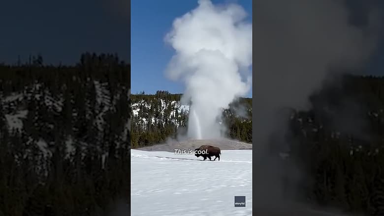 Old Faithful starts erupting, then THIS ‘cool’ moment happens #Shorts
