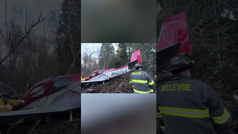 Small plane’s parachute cushions landing after engine fails #Shorts
