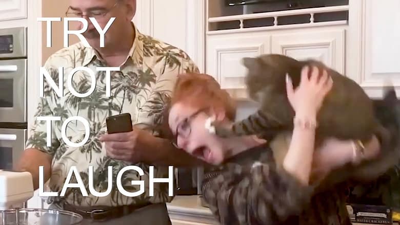 Try Not To Laugh ? Best Fails of the Week !! [2 HOURS] AFV
