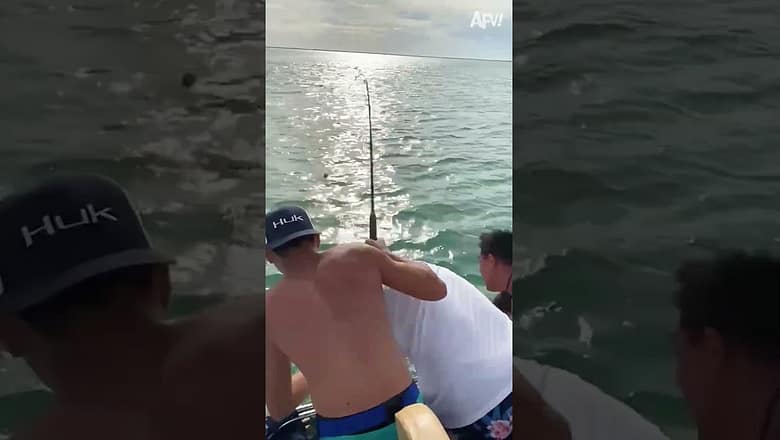 Who caught who here? ? #Shorts #Funny #fishing #Fail #Beach #boat