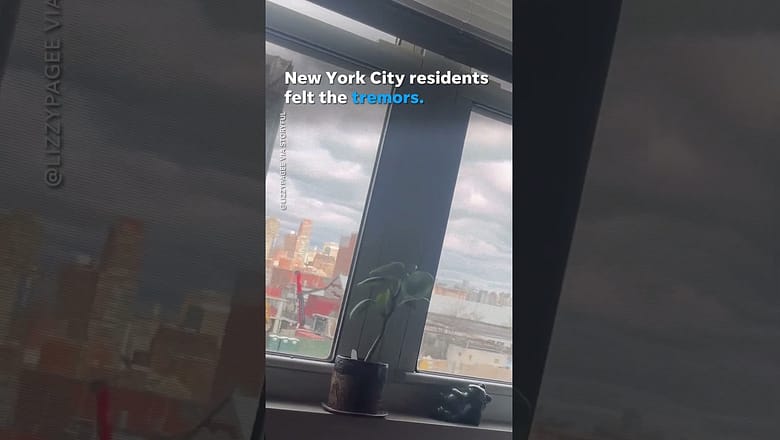 4.8 magnitude earthquake rattles New Jersey, NYC #Shorts