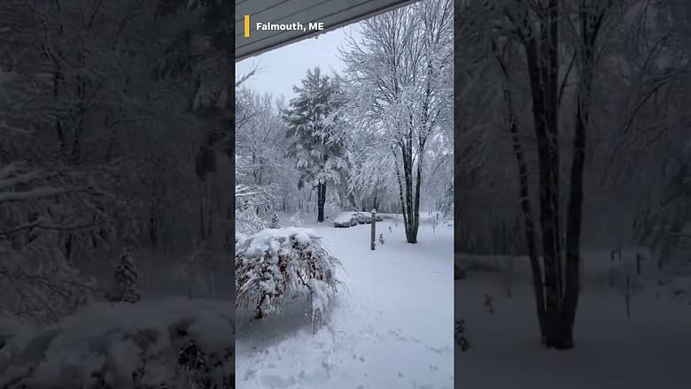 Deadly storm system rips through Northeast, Great Lakes regions #Shorts