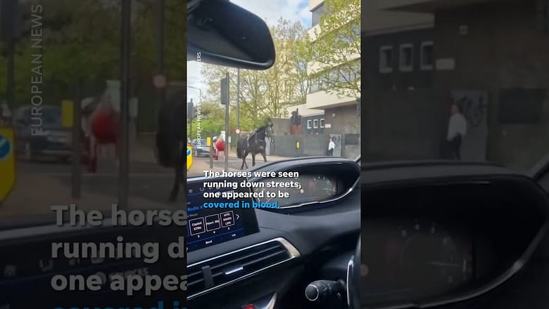 Escaped army horses shock London commuters #Shorts