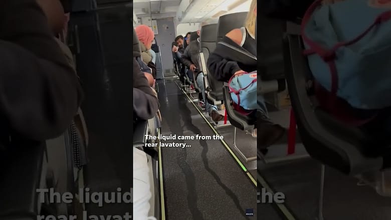 Mysterious liquid flows from plane bathroom on Spirit flight #Shorts