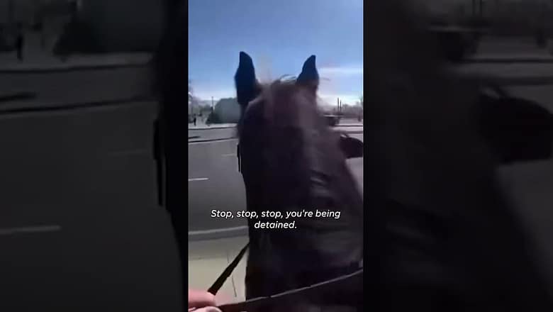 Police on horseback pursue and arrest suspected shoplifter #Shorts
