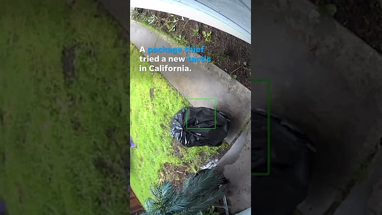 Thief gets crafty, wears garbage bag to steal package from porch #Shorts