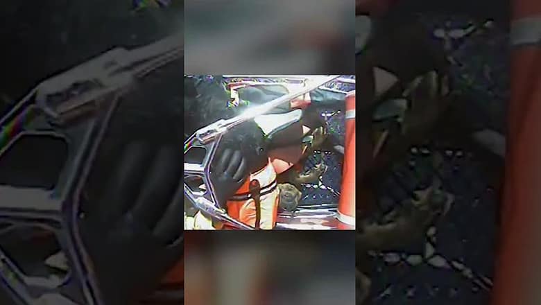Two dogs and owner rescued from sinking boat #Shorts