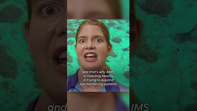 Underwater drone equipped with AI studies the Great Barrier Reef bleaching event #Shorts