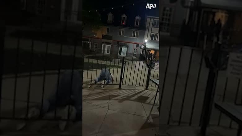 Who knew jumping a fence could be so elegant ? #shorts #fail #funny #fence #jump #afv