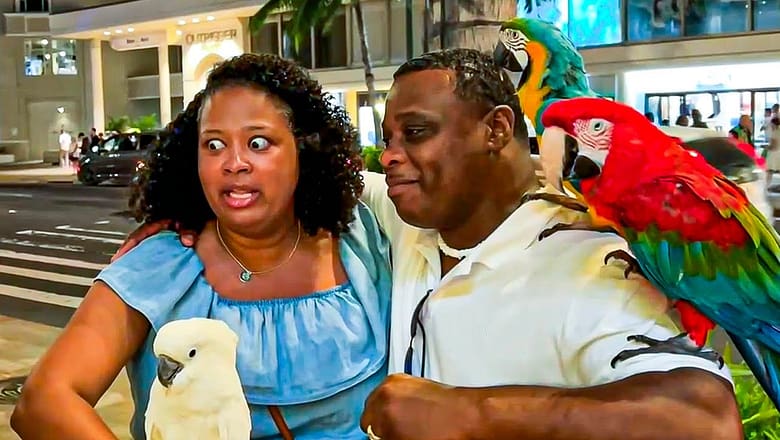 Worst Vacation Fails EVER!! | Funny Vacation Fails