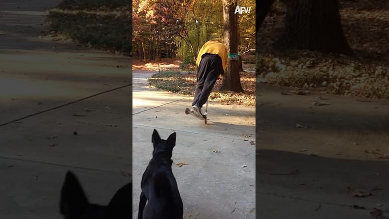 yea, we got that! ? #shots #fail #funny #scooter #fall