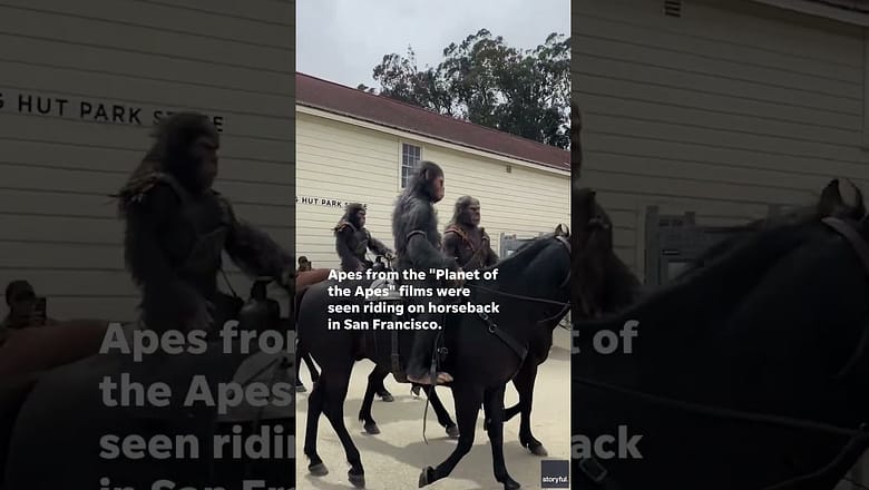 Apes from ‘Planet of the Apes’ surprise locals, ride on horseback to promote new movie #Shorts