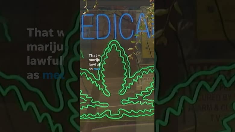 Biden administration plans big marijuana rule changes #Shorts