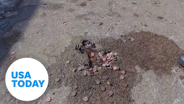 Chicago’s infamous ‘rat hole’ removed for sidewalk replacement | USA TODAY