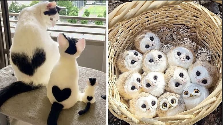 Cute Baby Animals Videos Compilation | Funny and Cute Moment of the Animals #31 – Cutest Animals