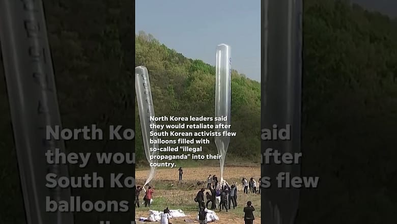 North Korea sends retaliatory trash, excrement-filled balloons to South Korea #Shorts