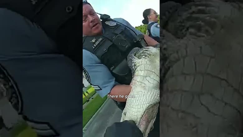 Police wrangle, relocate ‘unwelcomed visitor’ #Shorts