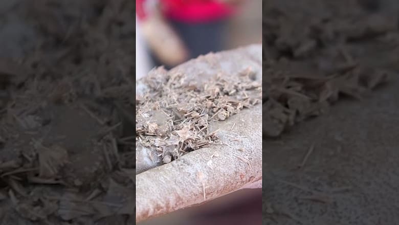 Archeologists find ancient shipwreck cargo buried in Mediterranean Sea #Shorts