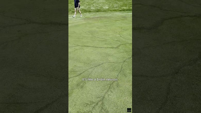Lightning strike leaves ‘neuron’ like pattern on golf course #Shorts