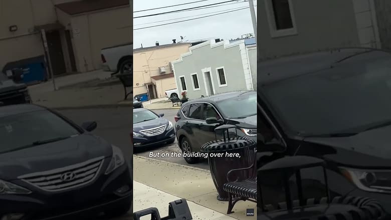 Ohio town invaded by large swarm of mayflies #Shorts