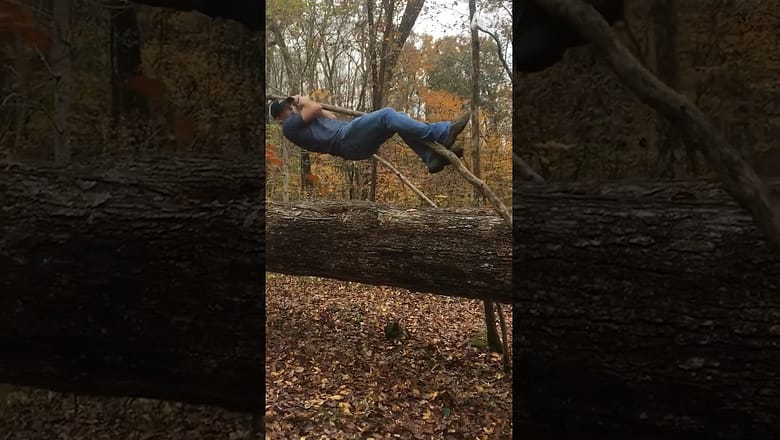 That tree gave it all ๐ณ๐ #shorts #tree #climb #fail #fun