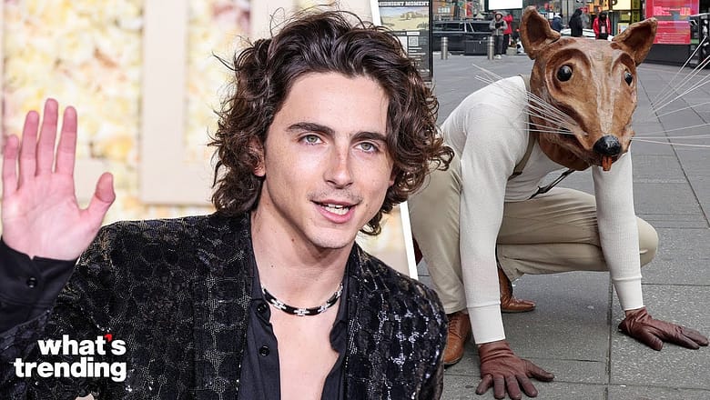The ‘Hot RODENT Boyfriend’ Trend EXPLAINED