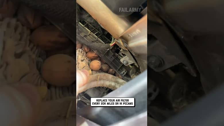 Truck Engine Stuffed With Pecans