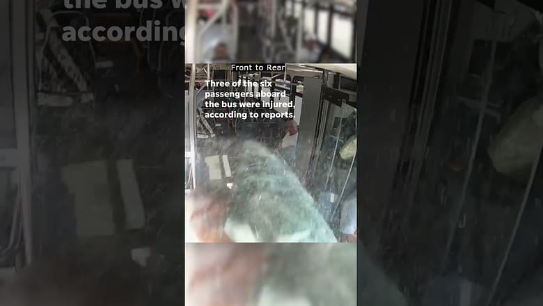 Video shows deer suddenly jump through bus window near passengers #Shorts