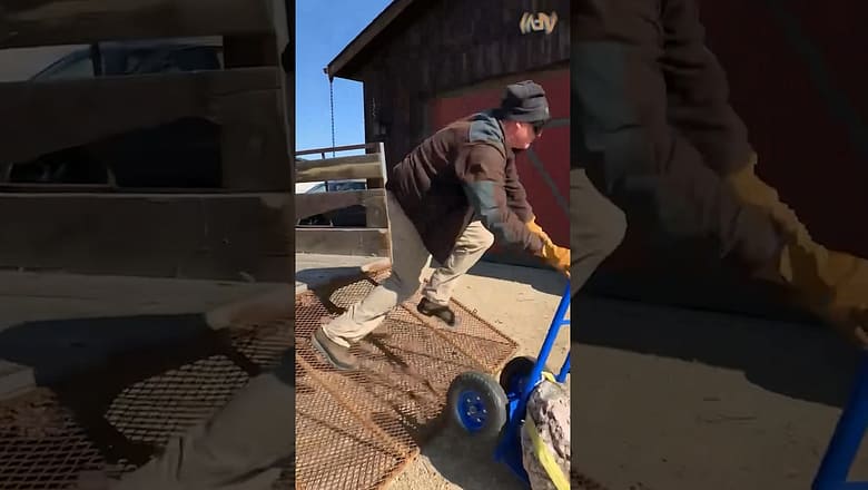 When working hard goes wrong ๐ฅด #shorts #fail #man #funny