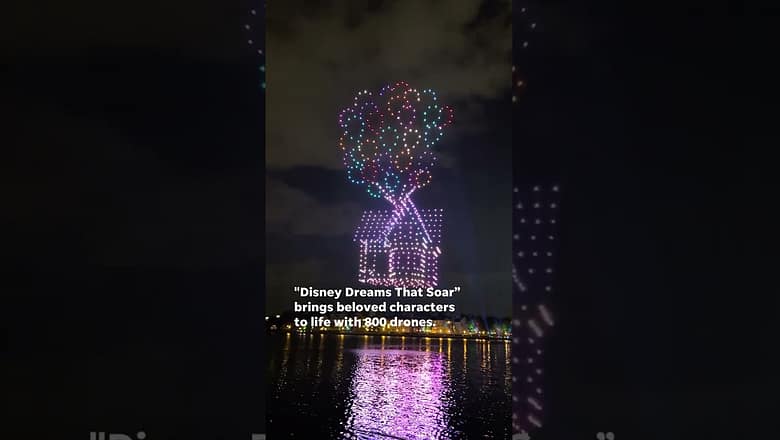 Free ‘Disney Dreams That Soar’ drone show soars above Disney World #Shorts