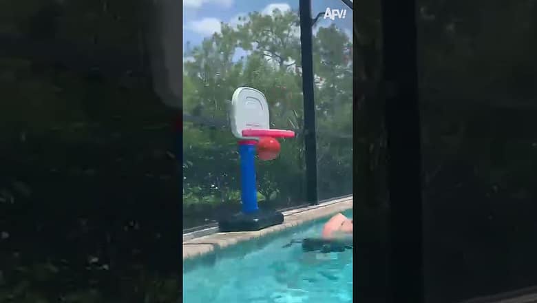 Future NBA star! ๐ #reels #basketball #NBA #dog #pool