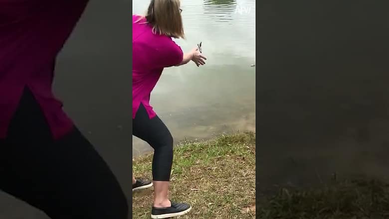 Her stick-throwing skills made a splash…quite literally! ๐๐พ #fetch #fail #reels #dog