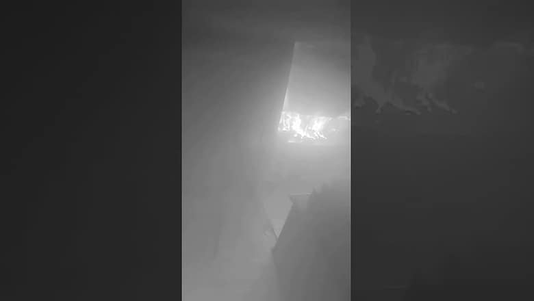 Watch: Dog ignites kitchen fire #Shorts