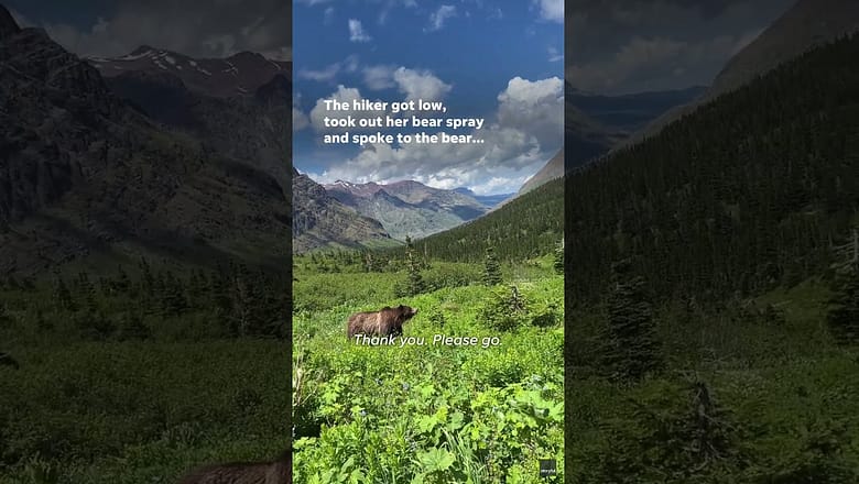 Watch: Hiker films as grizzly bear gets dangerously close #Shorts