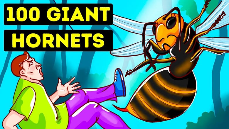 What If Biggest Hornet Stung You 100 Times?