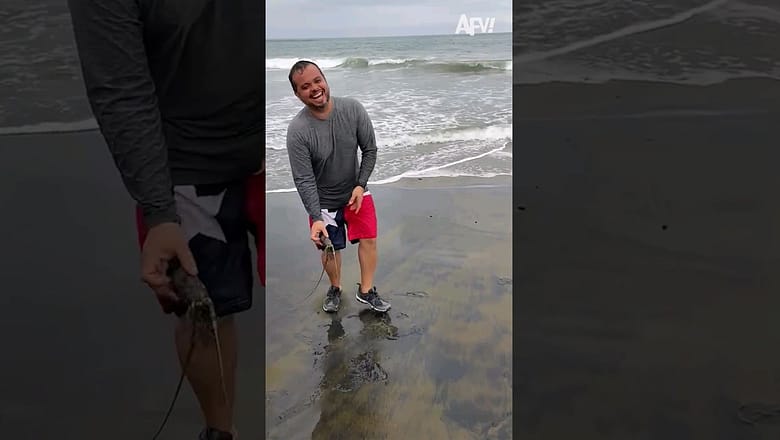 What was that? 🏖️ #prank #beach #funny #shorts