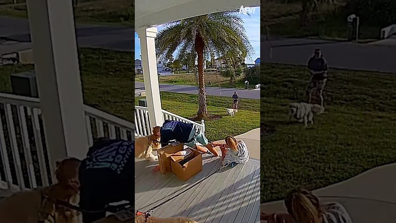 When delivering a package goes wrong ๐ฆ #reels #securitycamera #fail