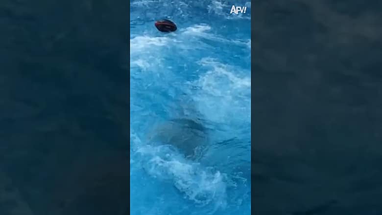 Boys will be boys 🏈 #short #pool #fail #jump #humor