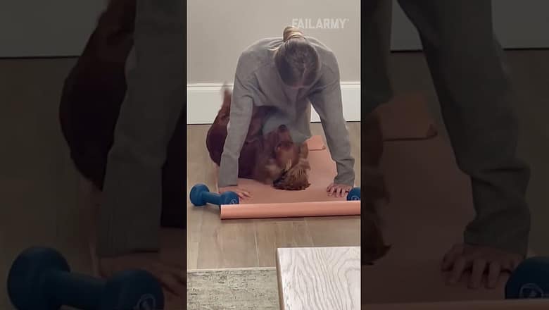 doggo just wants to get some reps in ๐ถ